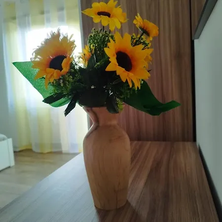 Casa Raggio Di Luna * Řím