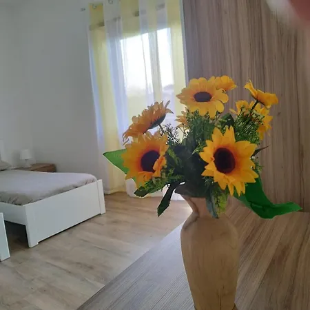 Casa Raggio Di Luna Apartment Rome